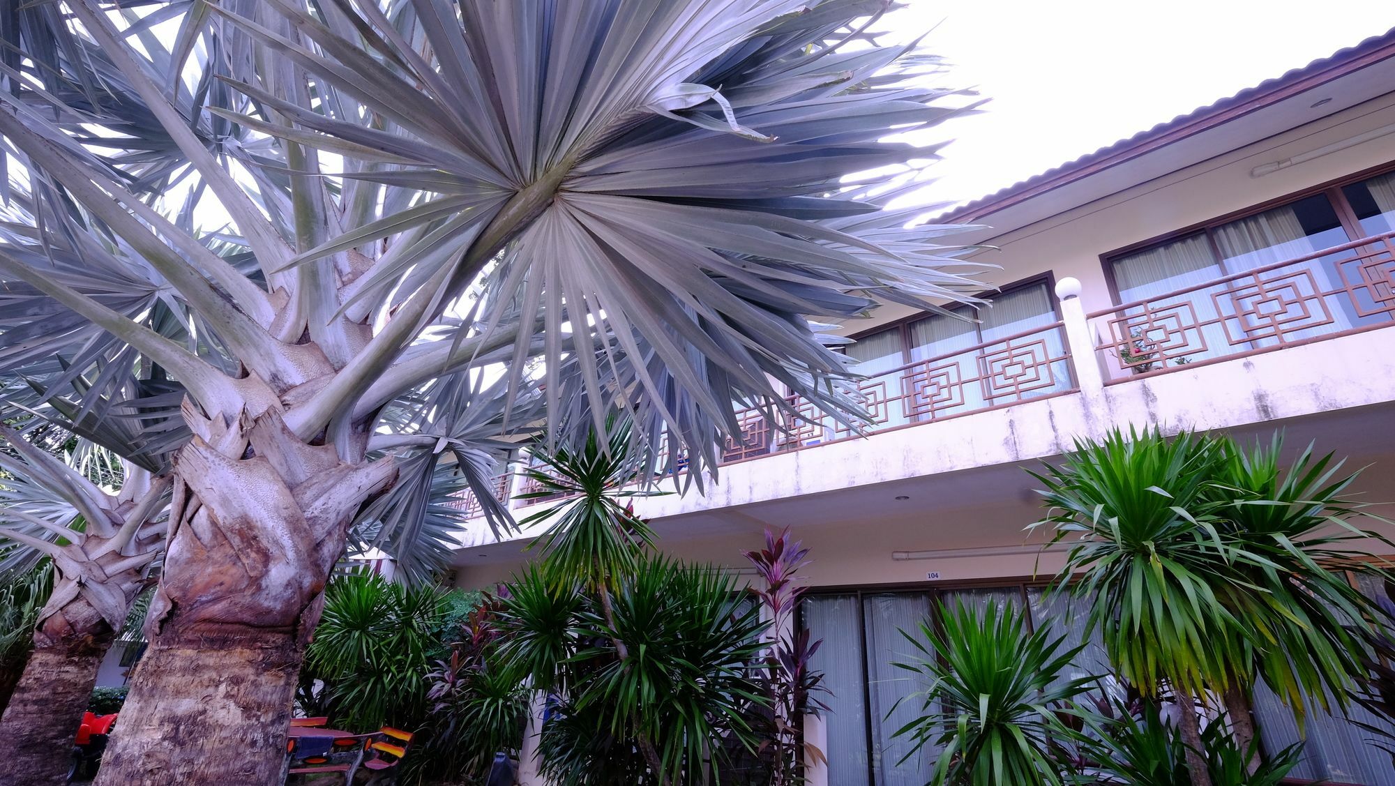 Samui Guest House Παραλία Λαμάι Εξωτερικό φωτογραφία
