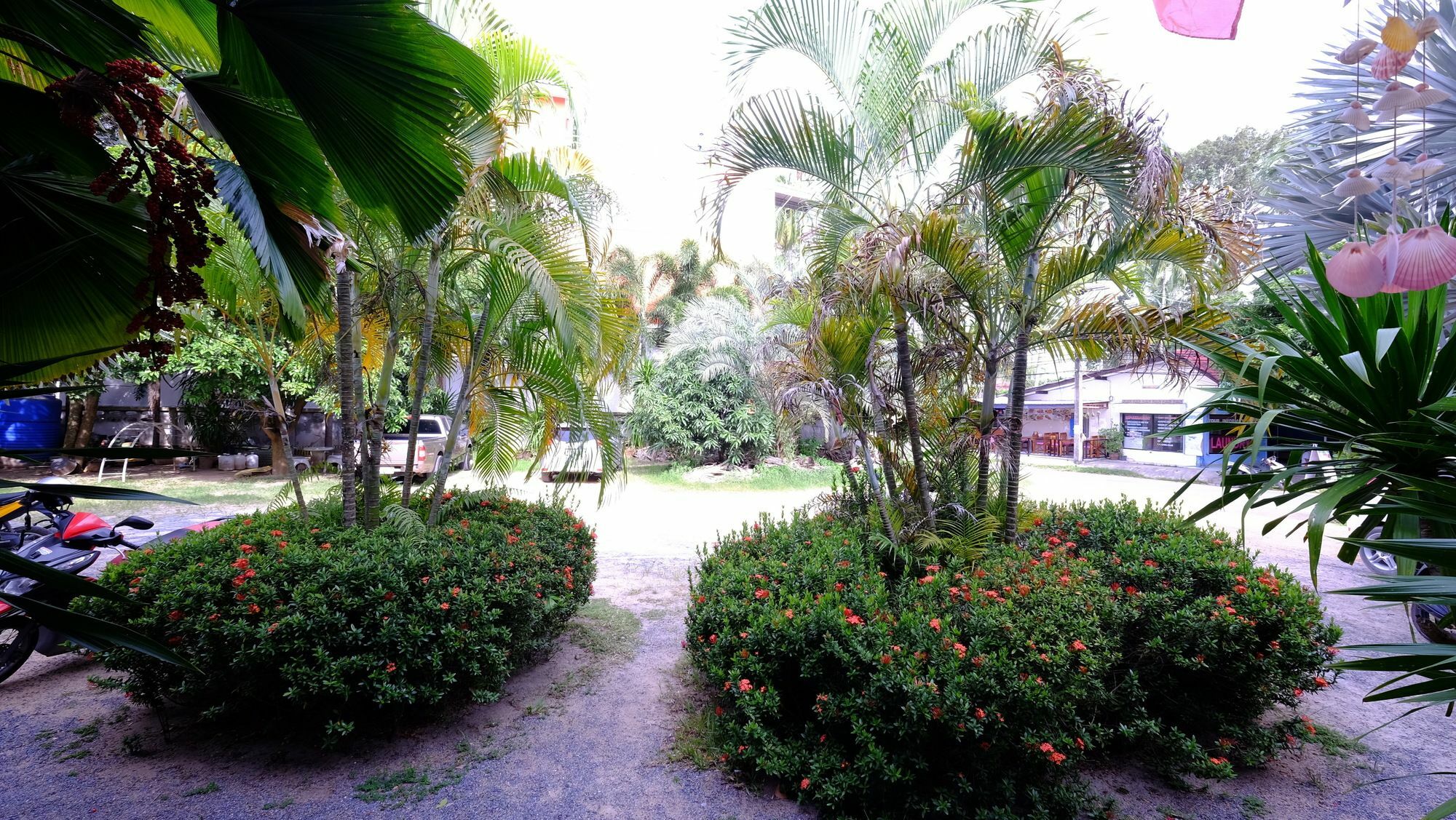 Samui Guest House Παραλία Λαμάι Εξωτερικό φωτογραφία